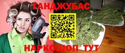 индика Гусь-Хрустальный