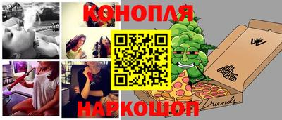 индика Гусь-Хрустальный