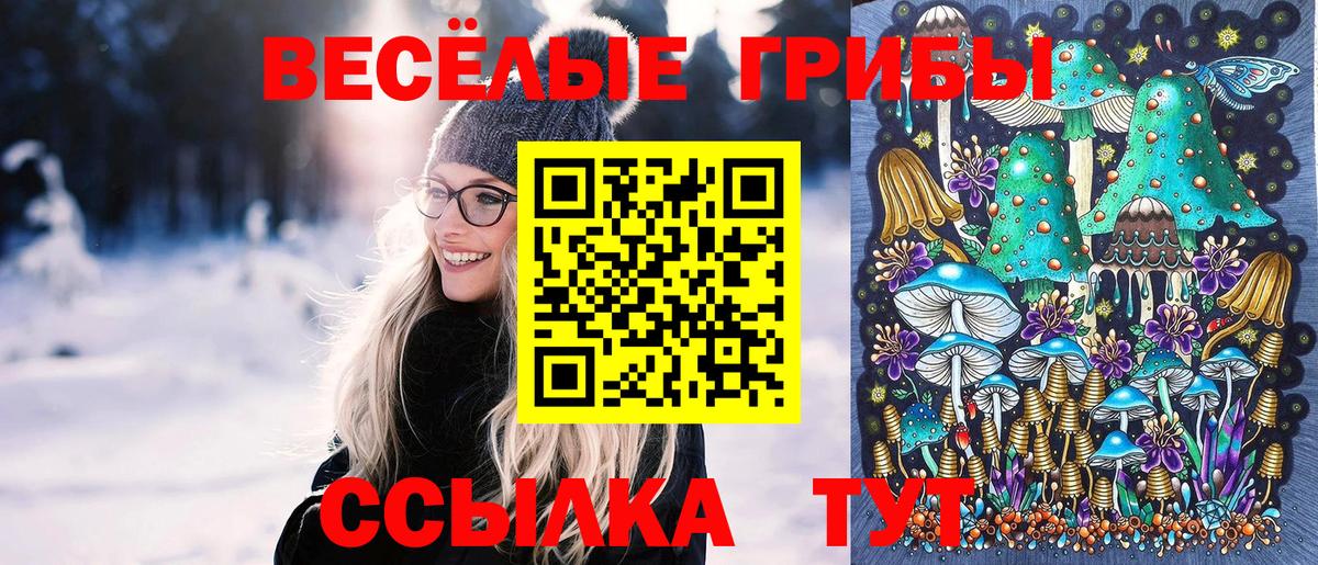 Псилоцибиновые грибы Psilocybine cubensis Нижневартовск
